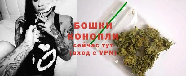 spice Арсеньев