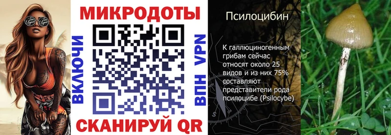 Галлюциногенные грибы MAGIC MUSHROOMS  наркота  Карабулак 
