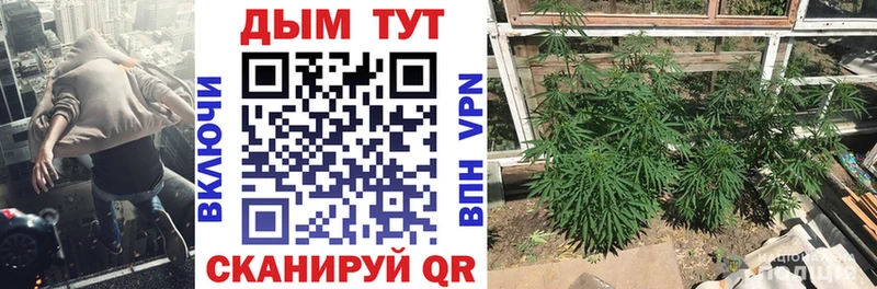 Бошки Шишки AK-47  Карабулак 
